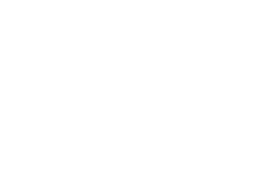 Gevir Group